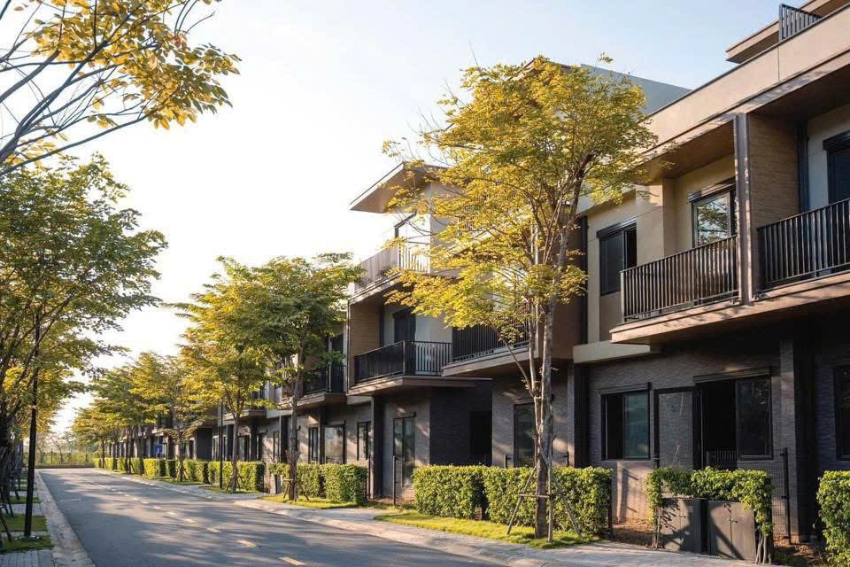 z7581756518051 a5eafd88842d29939b3e0437215d4296